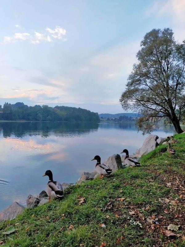 Your Place By The Lake - Near Leonardo Academy, Mxp Sesto Calende Extérieur photo
